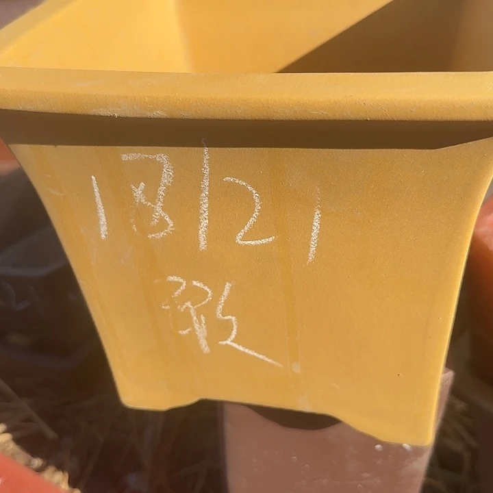 紫砂杯及红石奖最佳创意活动之一