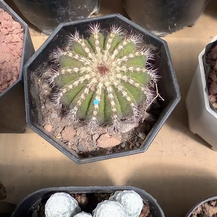 顺***水顺风顺水一物一拍包邮