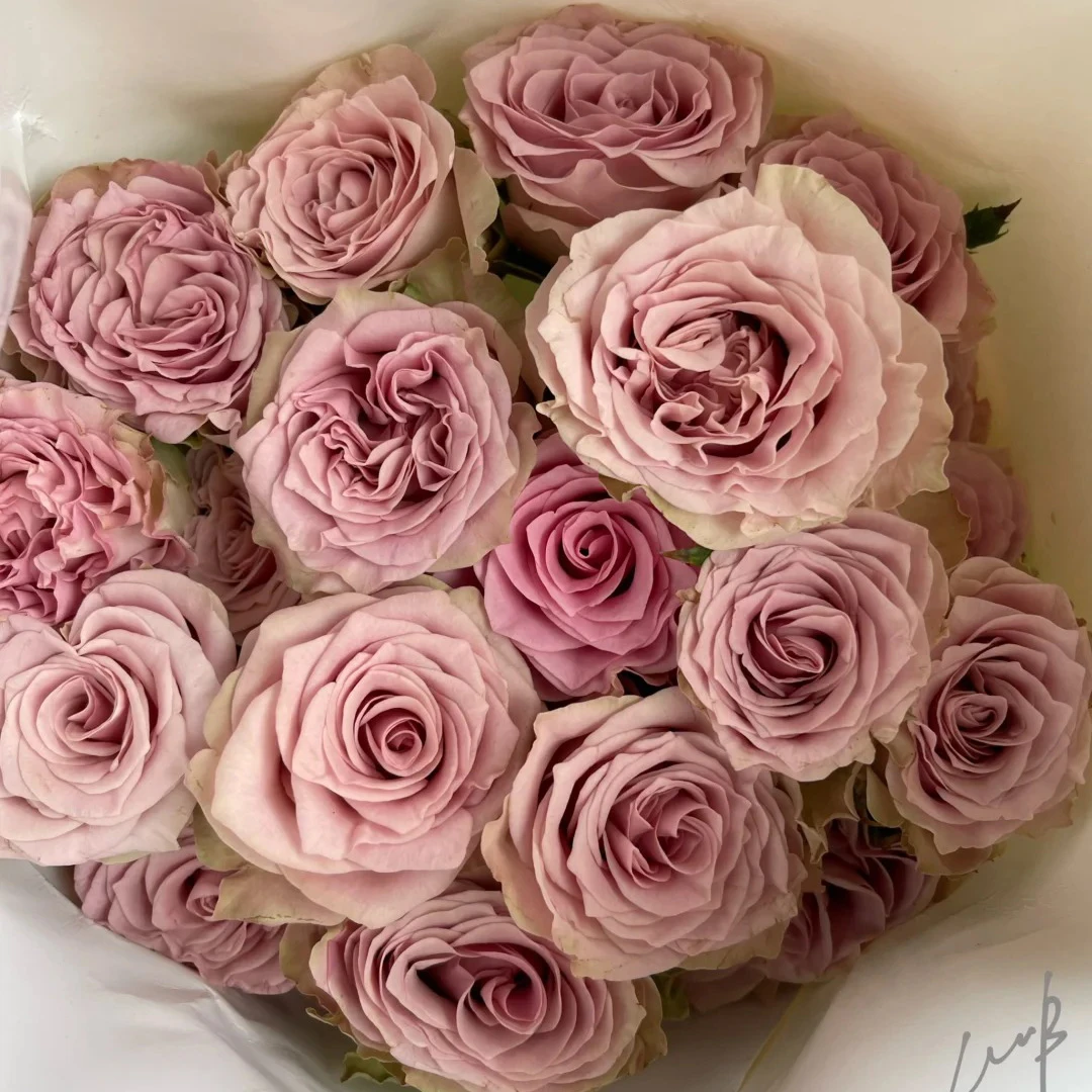 七叶花坊#多头玫瑰 【复古爱情】鲜花优选 顺丰直发