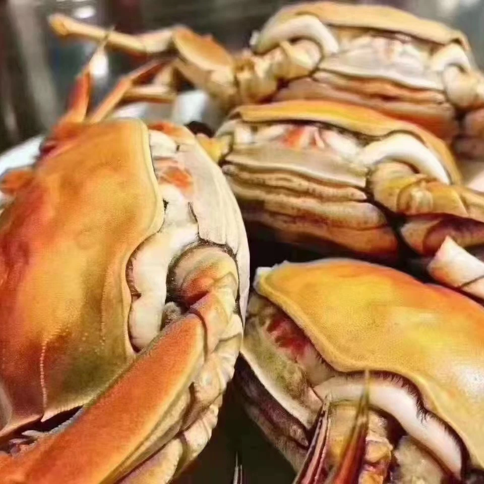 河蟹母4斤，单只1两左右，不保全活