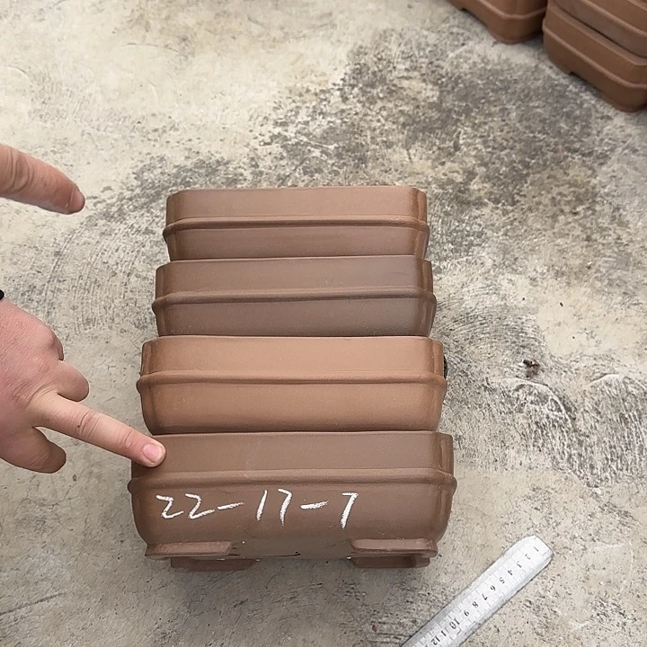 花盆紫砂这是我的新