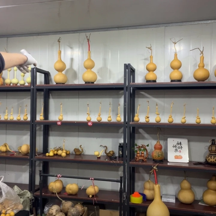 哈哈哈哈哈哈哈哈