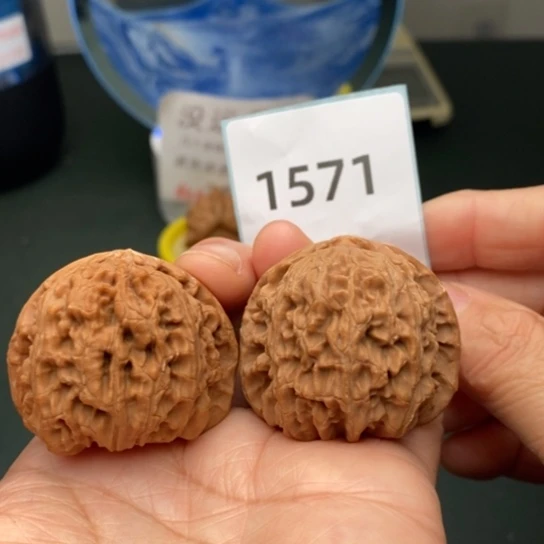 文玩核桃把件40白狮子1571