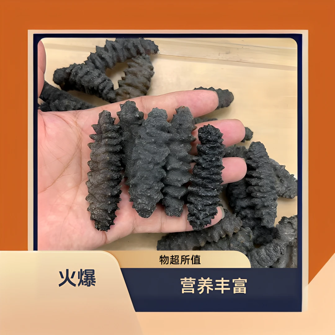 ［乡光胶行］淡干锣纹海参富有弹性、口感筋道、营养丰富