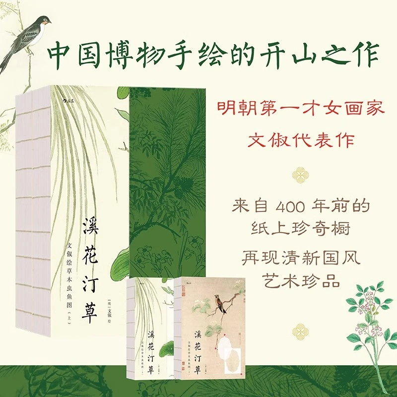 溪花汀草 文俶绘草木虫鱼图 明代才女画家文俶500余幅作品集