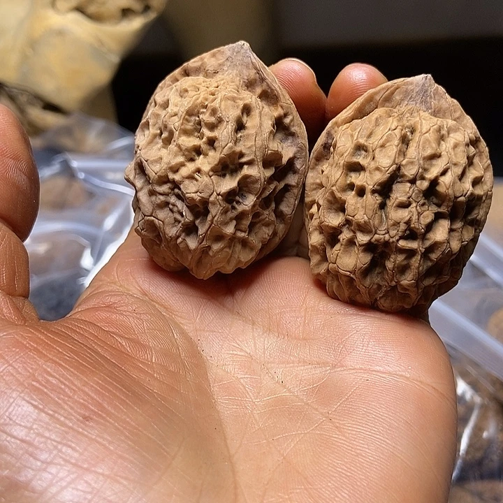 把件文玩核桃云南铁核桃基地45
