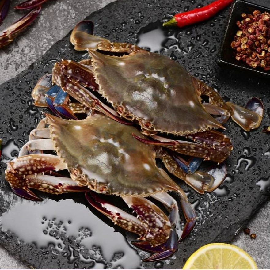 【华新水产】【保鲜不保活】带黄母蟹2-4两/只 四斤起