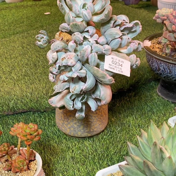 0234啊啊啊啊啊啊啊啊啊啊啊
