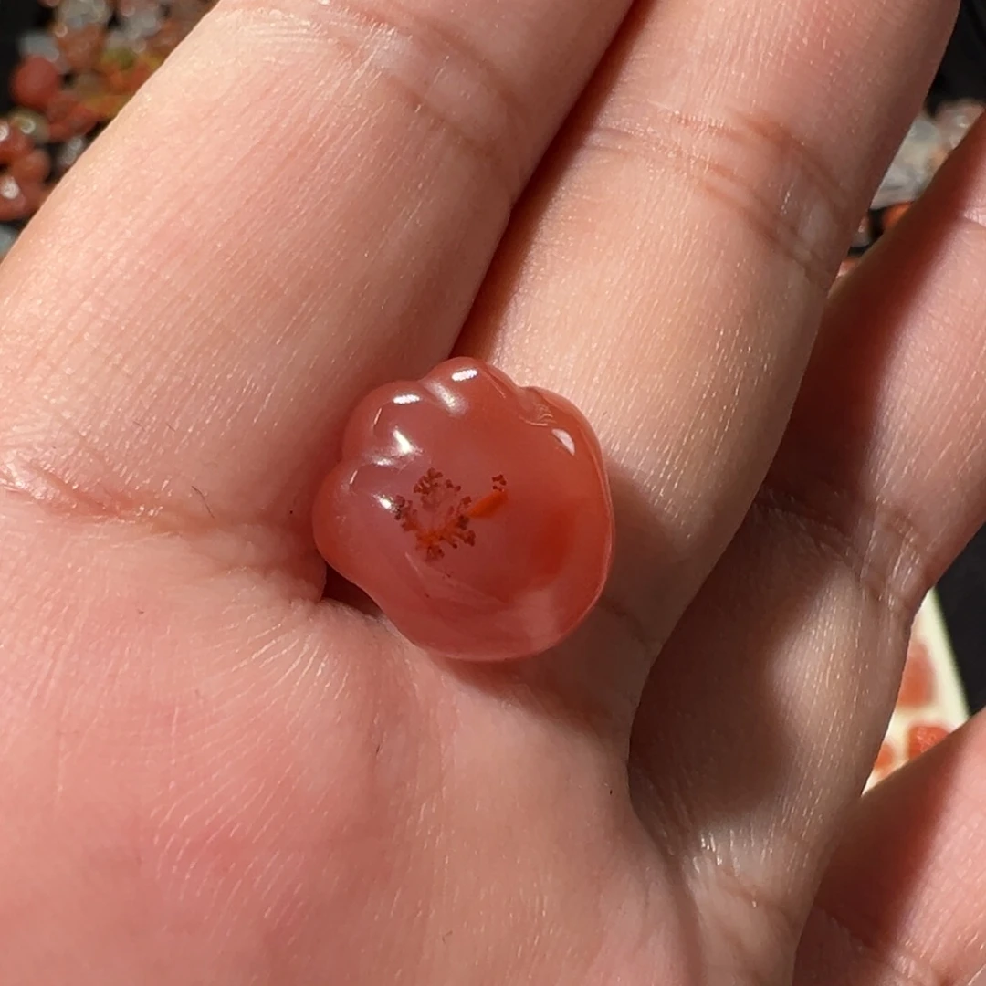 南红玛瑙川料未镶嵌猫爪