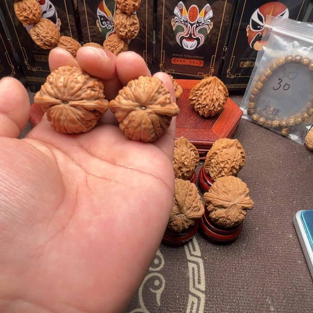 杰***龟核桃莲花11111111111