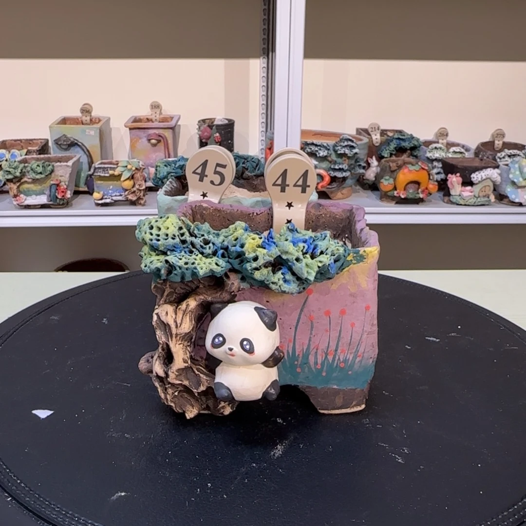 44 【闪购】多肉花盆