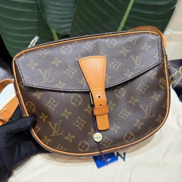 95新 LouisVuitton/路易威登 苹果马鞍大号斜挎包全原 小口袋清理