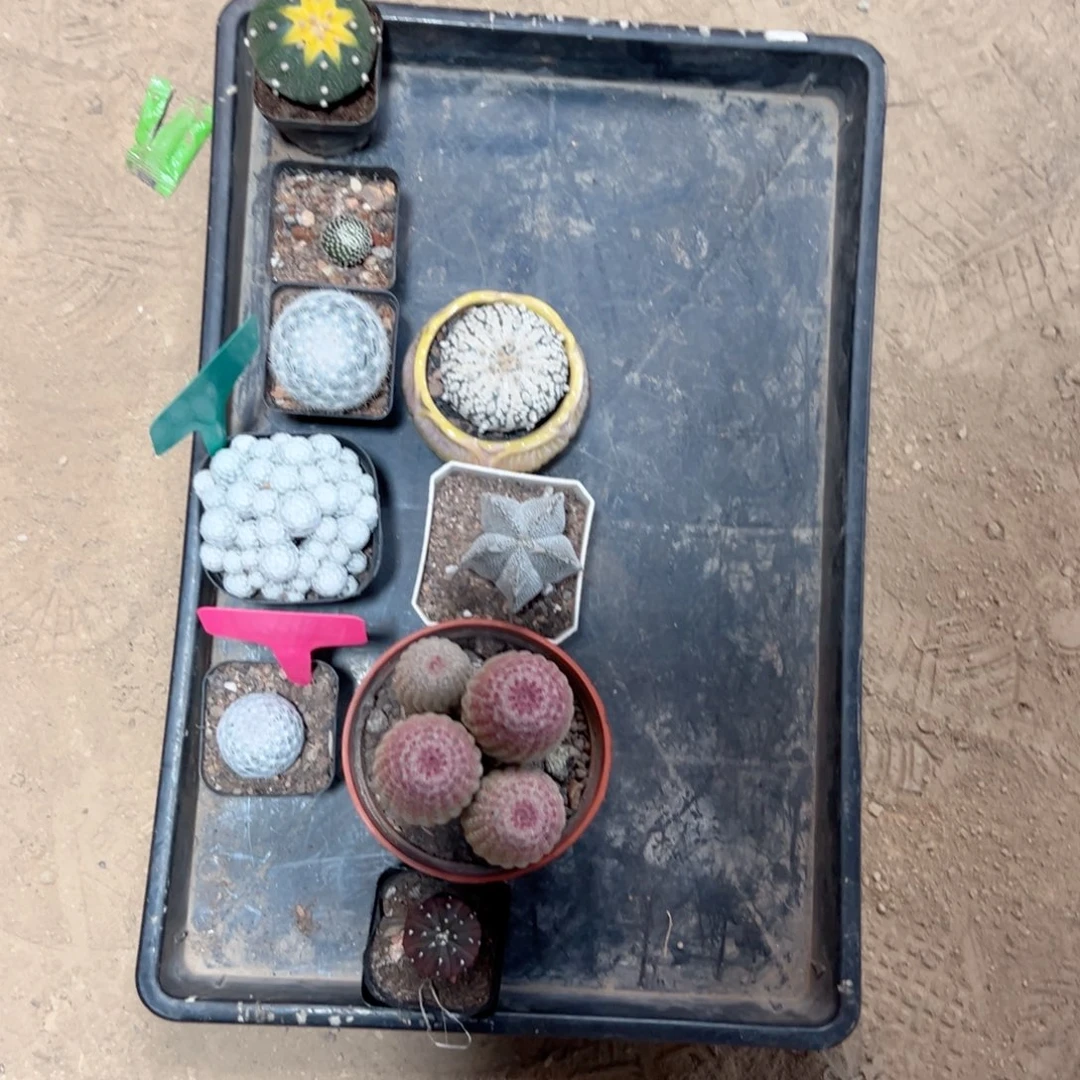 快***于哈哈哈哈哈哈哈哈哈哈哈哈