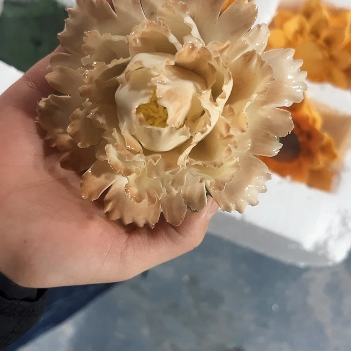 微瑕，介意勿拍，不退不换，退换拉黑