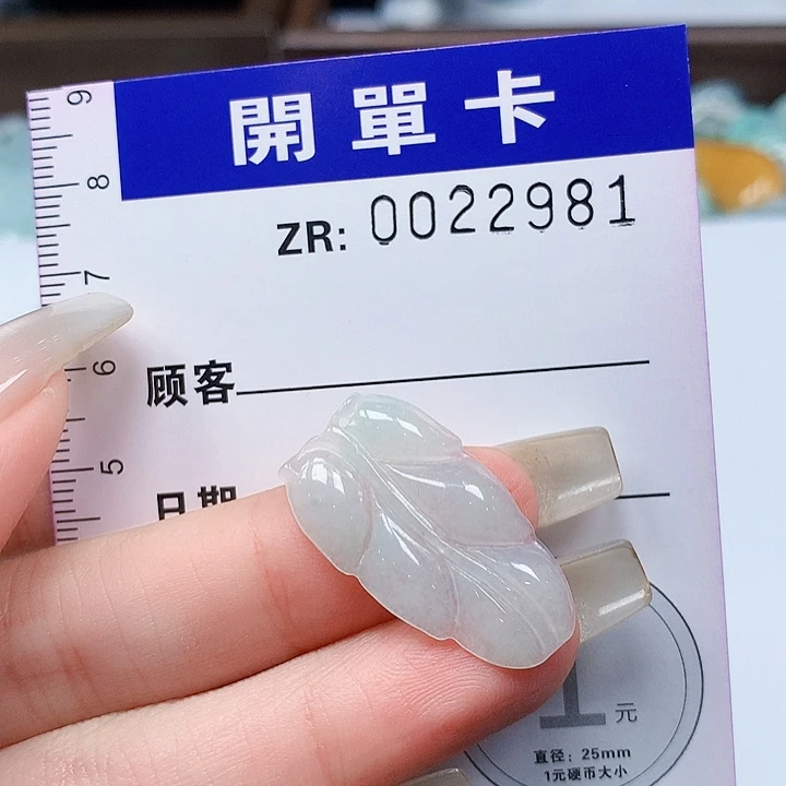 翡翠未镶嵌颈饰qqqq