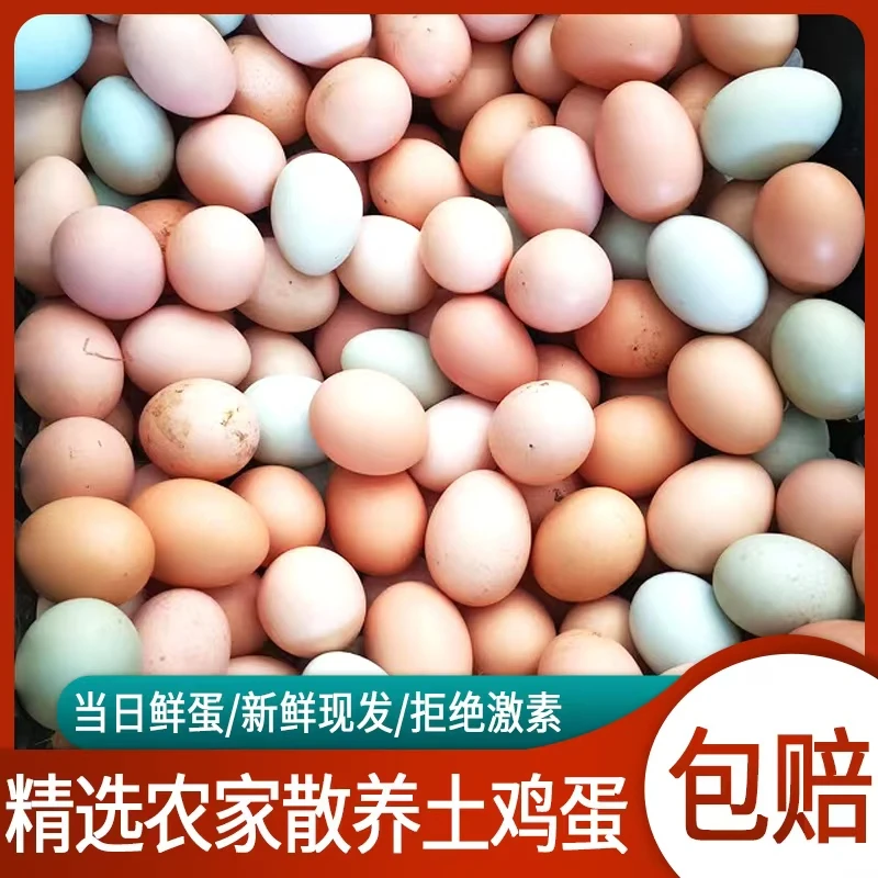 自家散养新鲜土鸡蛋营养丰富柴鸡蛋