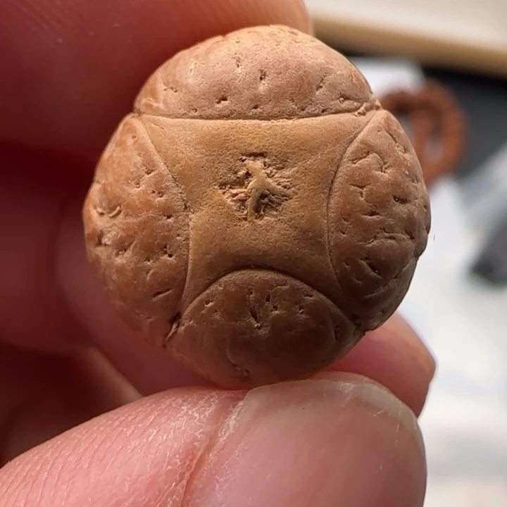 吊坠凤眼菩提18货号4