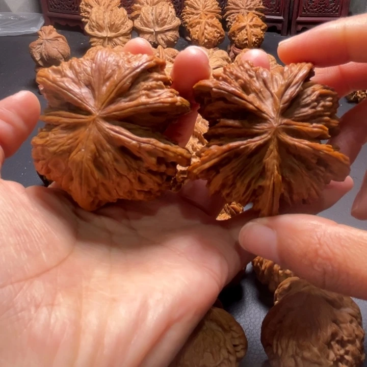 四座楼蝴蝶连体核桃哈哈哈哈哈哈哈哈