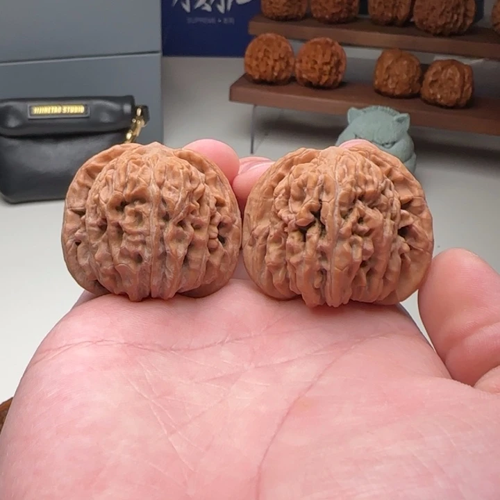 L41-38-35一代楼B1号