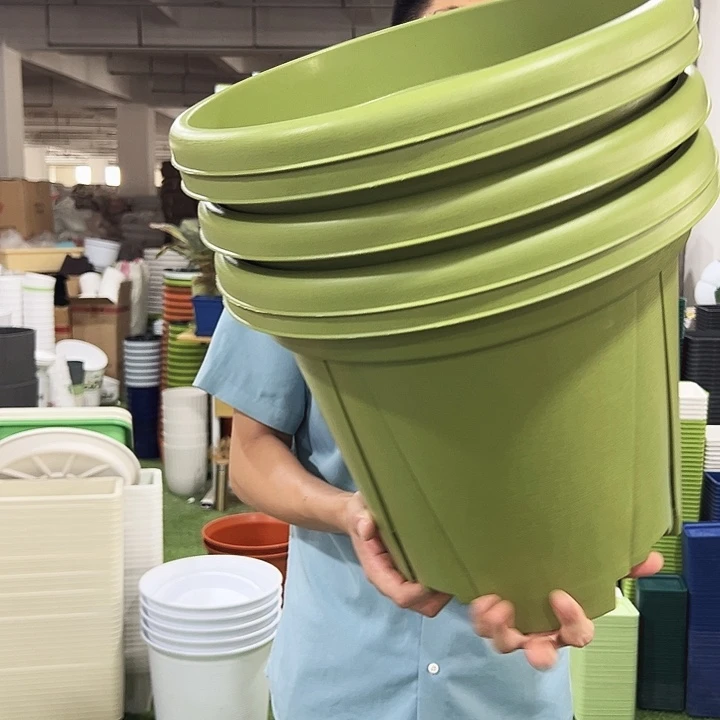 青山口40高34果绿5只无托