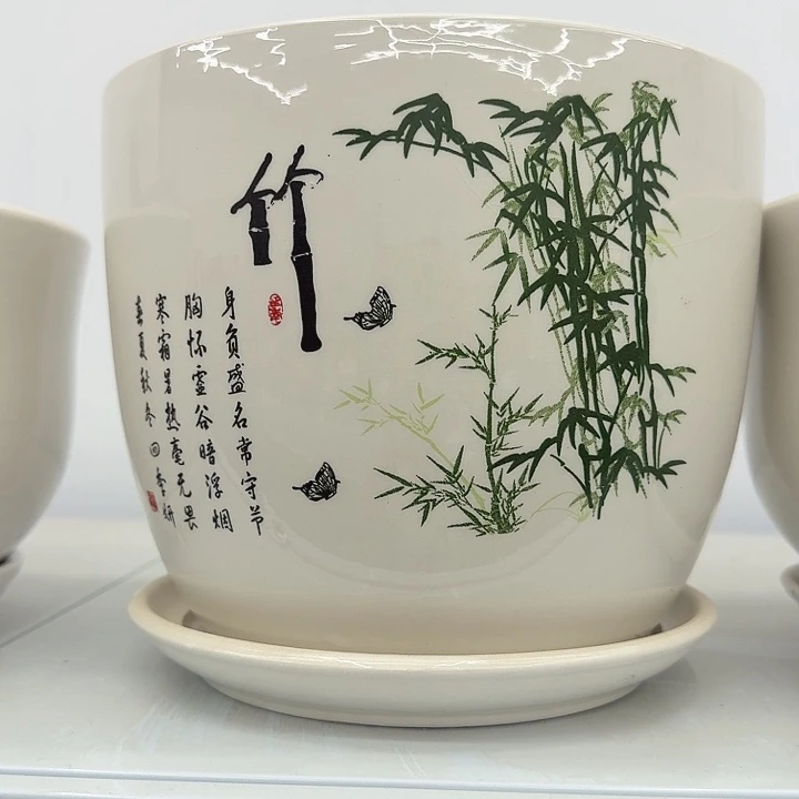 多肉植物陶瓷花盆