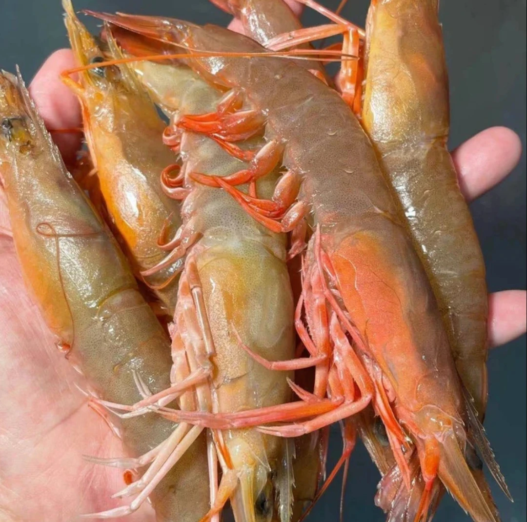 A三斤麻虾红须虾沙卢虾  速冻锁鲜发货  顺丰包邮