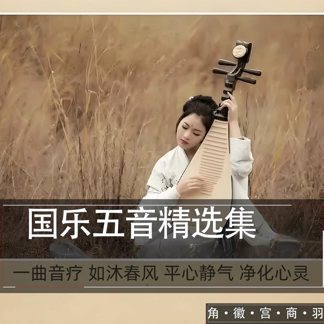 古典禅音国乐五音纯音乐无损CD音质古琴古筝琵琶音疗茶室养生馆
