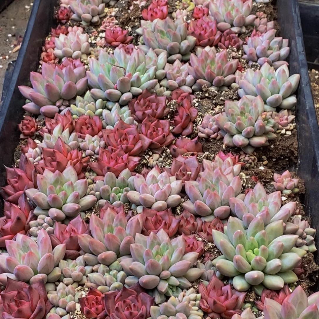 幸**贝084的人在一起的时候