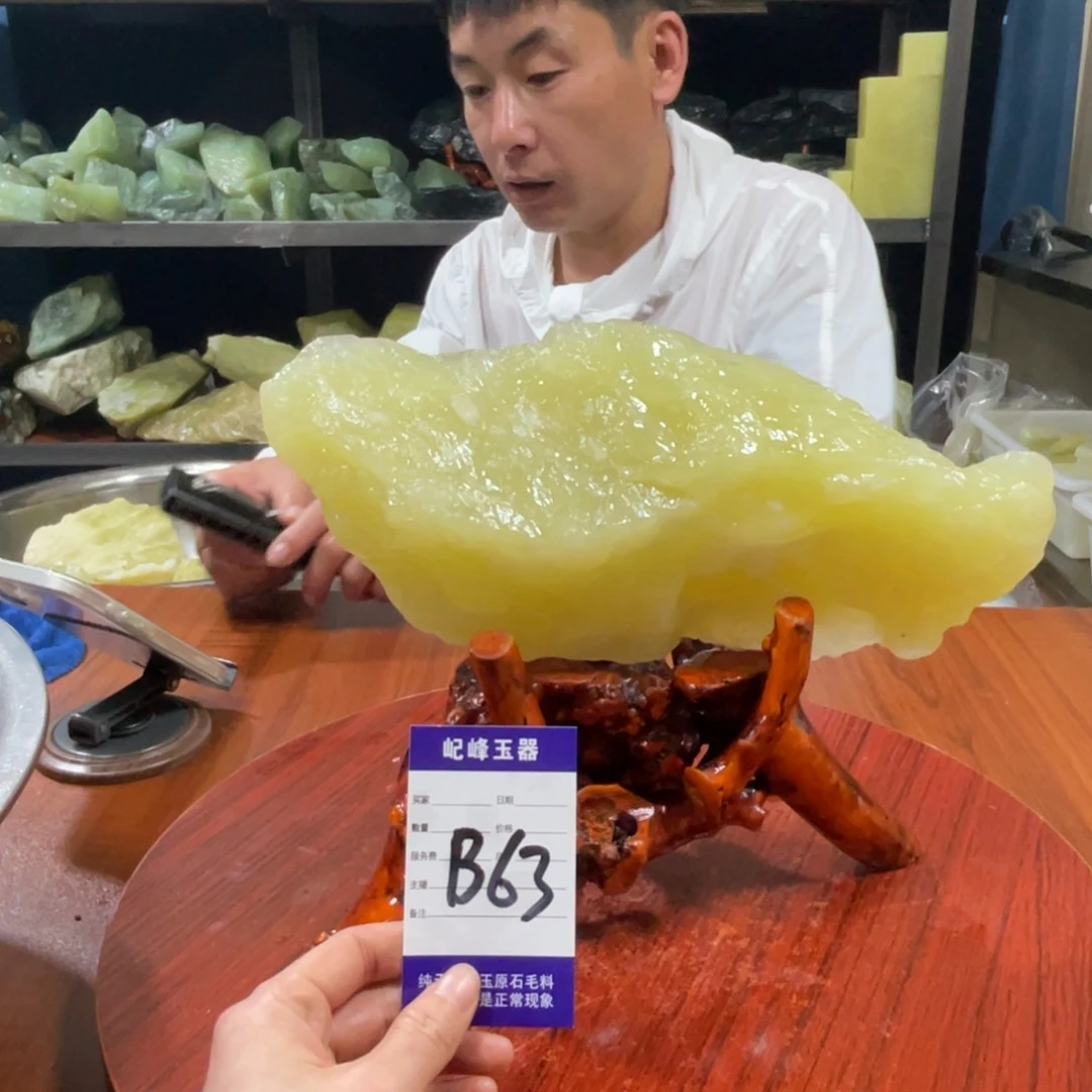 蛇纹石玉未镶嵌原石B63