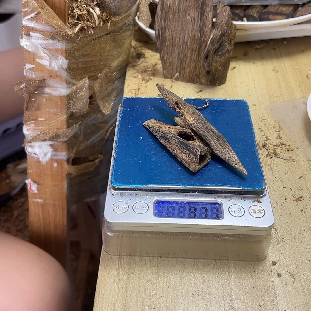 香料绿奇楠虫漏9克乌身天然