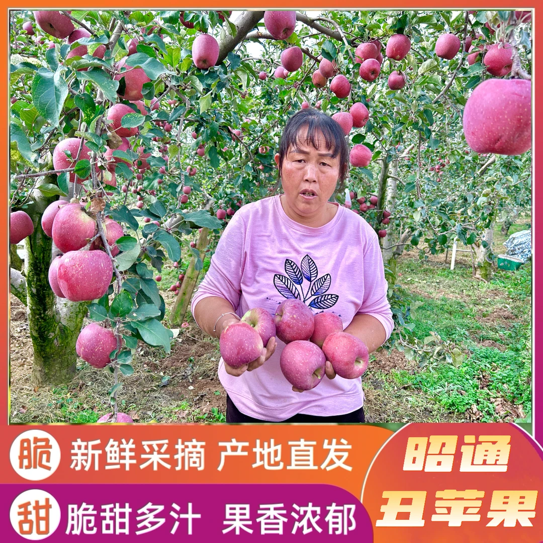 正宗云南昭通高原冰糖心丑苹果当季现摘新鲜脆甜多汁净重发货