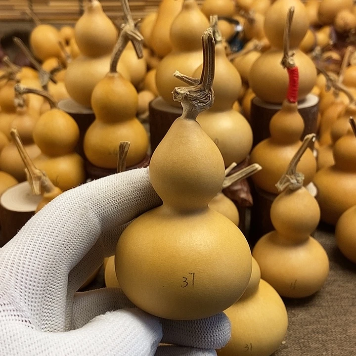 文玩葫芦 完美主义者 慎拍37