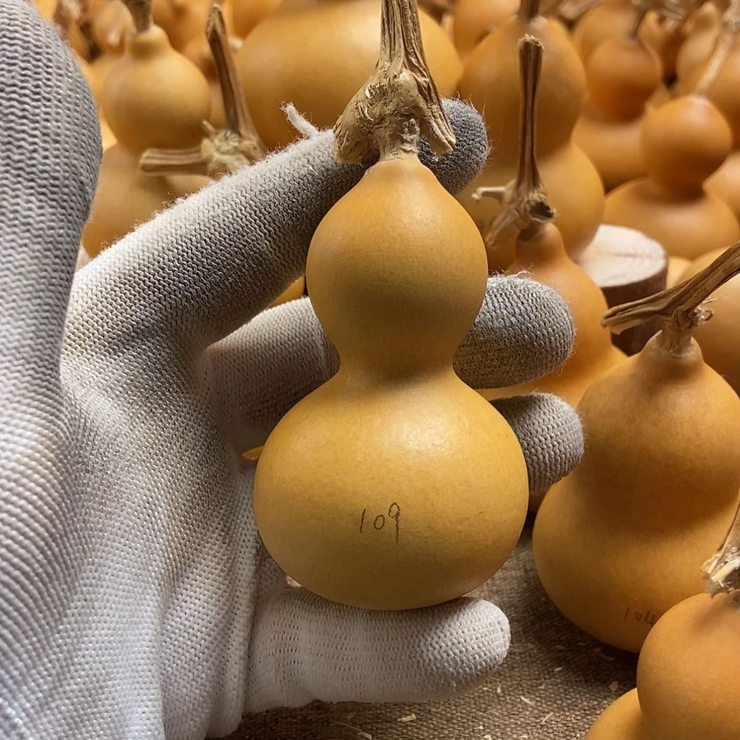 文玩葫芦 完美主义者 慎拍109