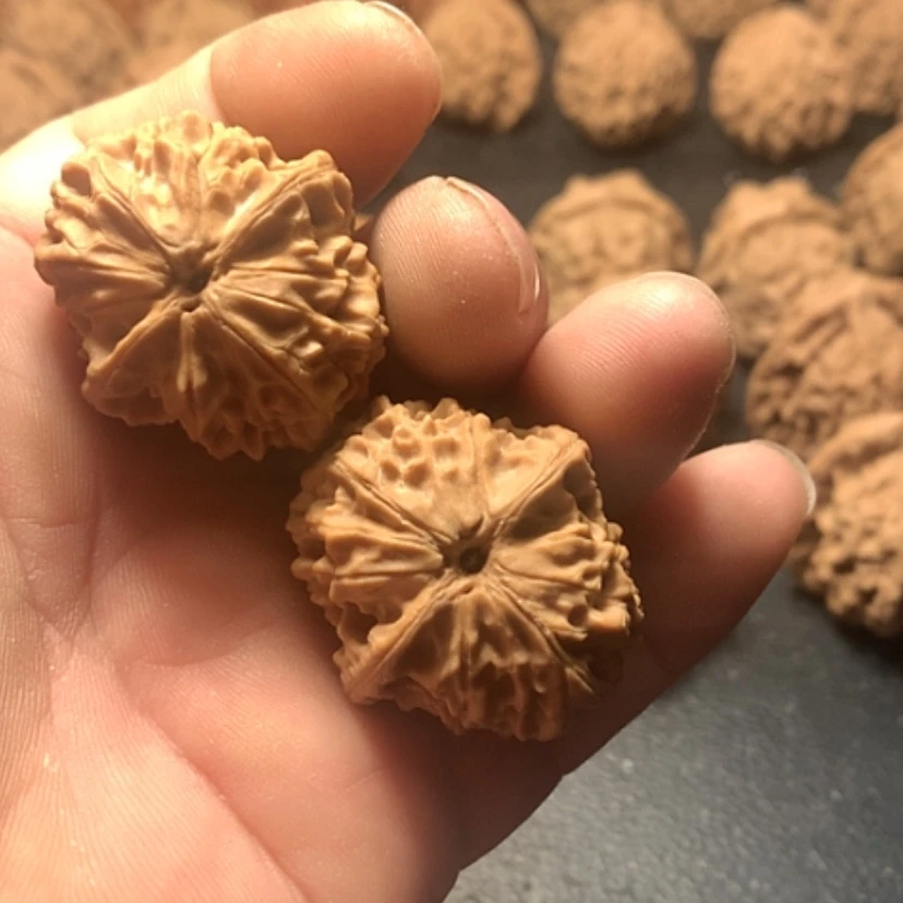 【闪购商品】聚****子龙眼