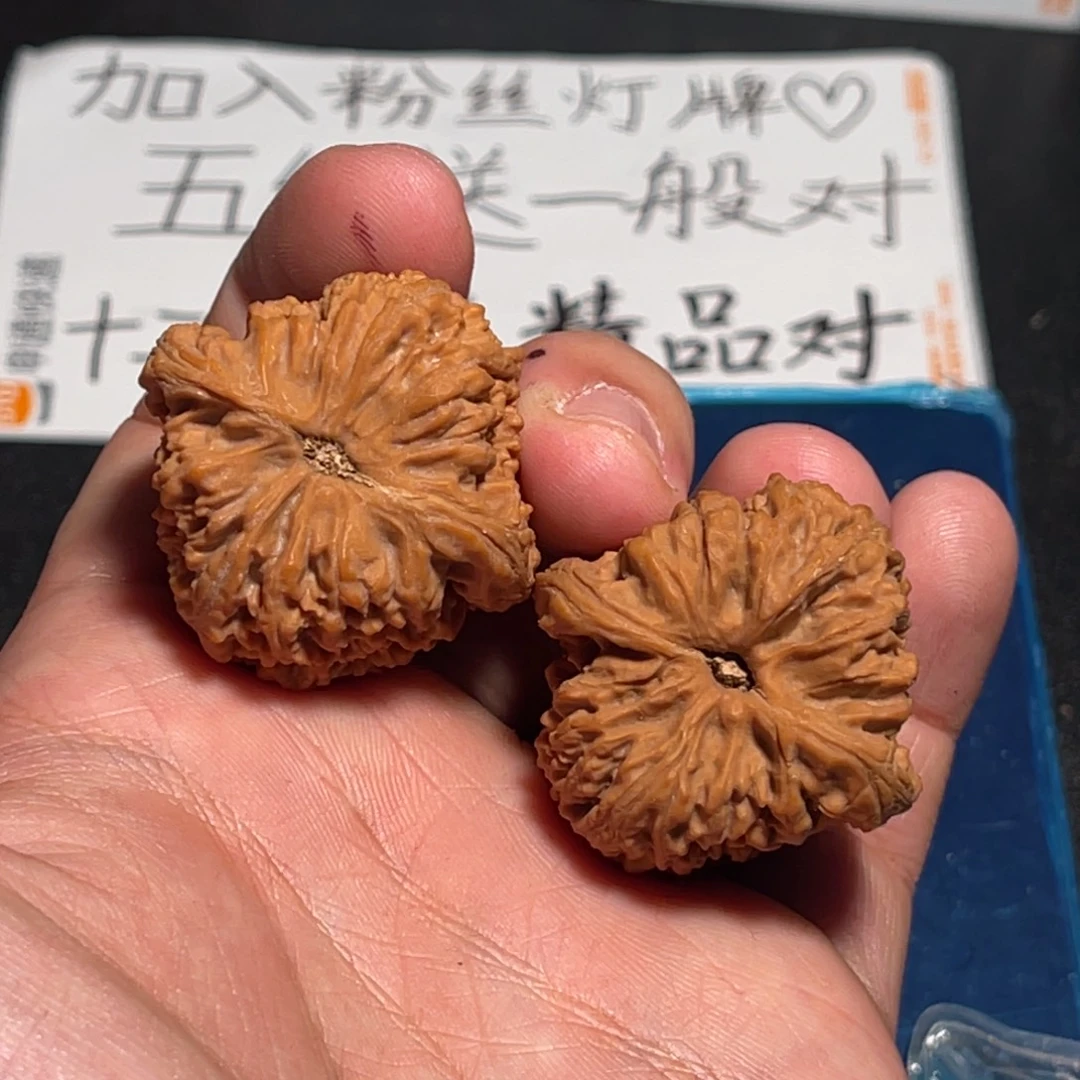 35全品红皮蚂蚁拉丝高炮南疆