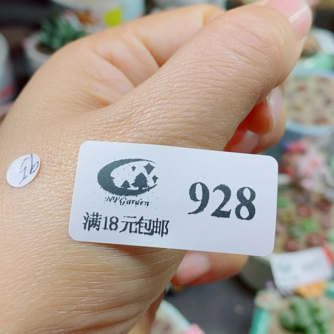 二***饭生石花花花花花花花花928