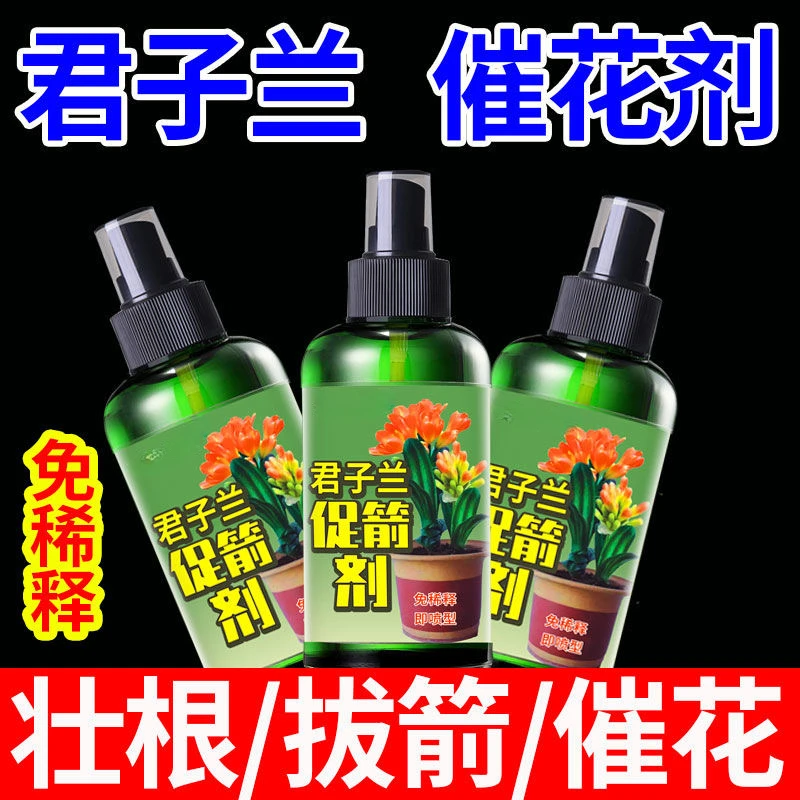 君子兰促箭剂营养液促花治黄叶防止君子兰夹箭不对称壮根营养液