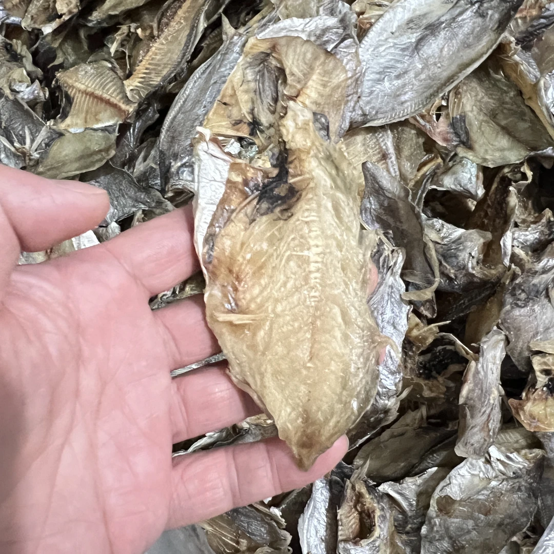 福建特产淡咸肉鲳片净含量为500g/袋