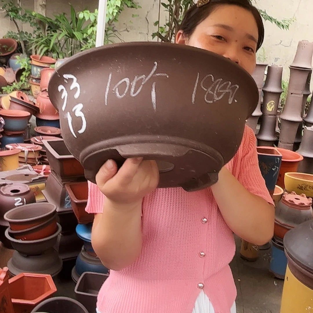100个33紫泥碗盆花盆花盆花盆