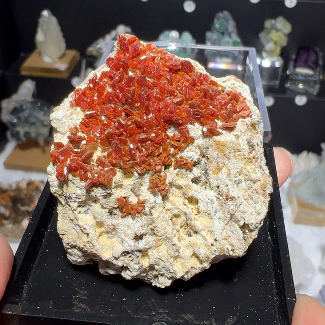 紫晶银S925镶嵌大型摆件（非配饰）