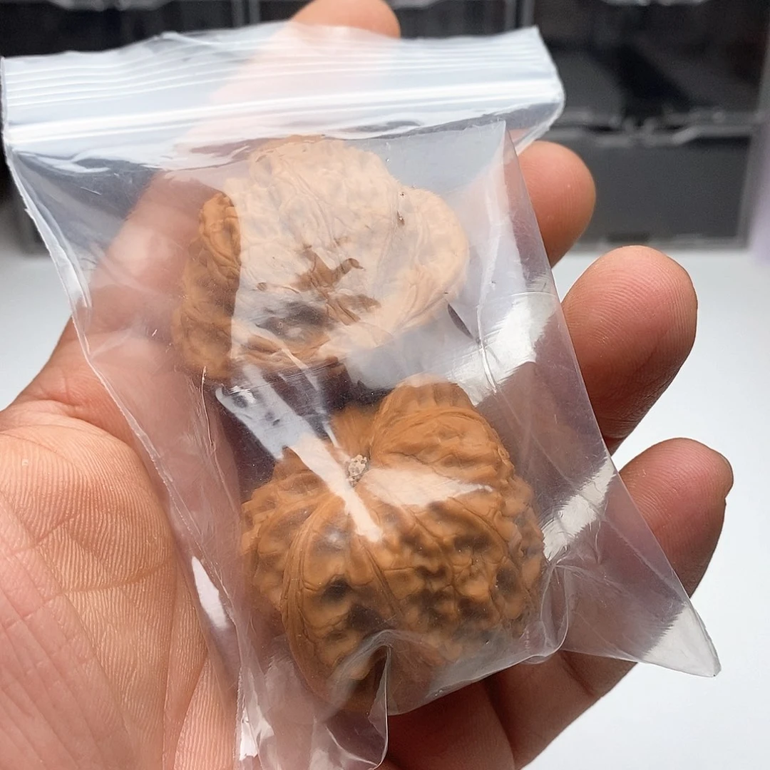 Z**X知识盲区核桃88888888888