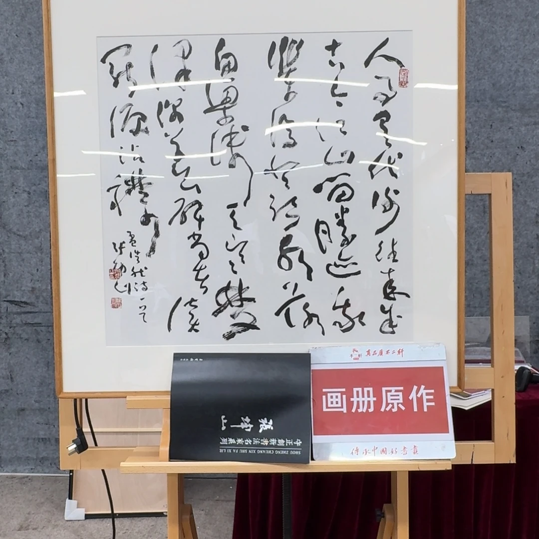 书法书法ZKS老师作品