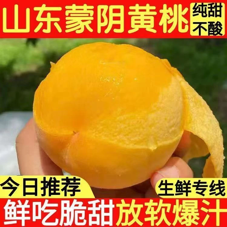 山东蒙阴纯甜黄金桃4斤装