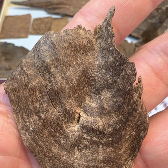 沉香摆件深圳土沉沉水2.8克