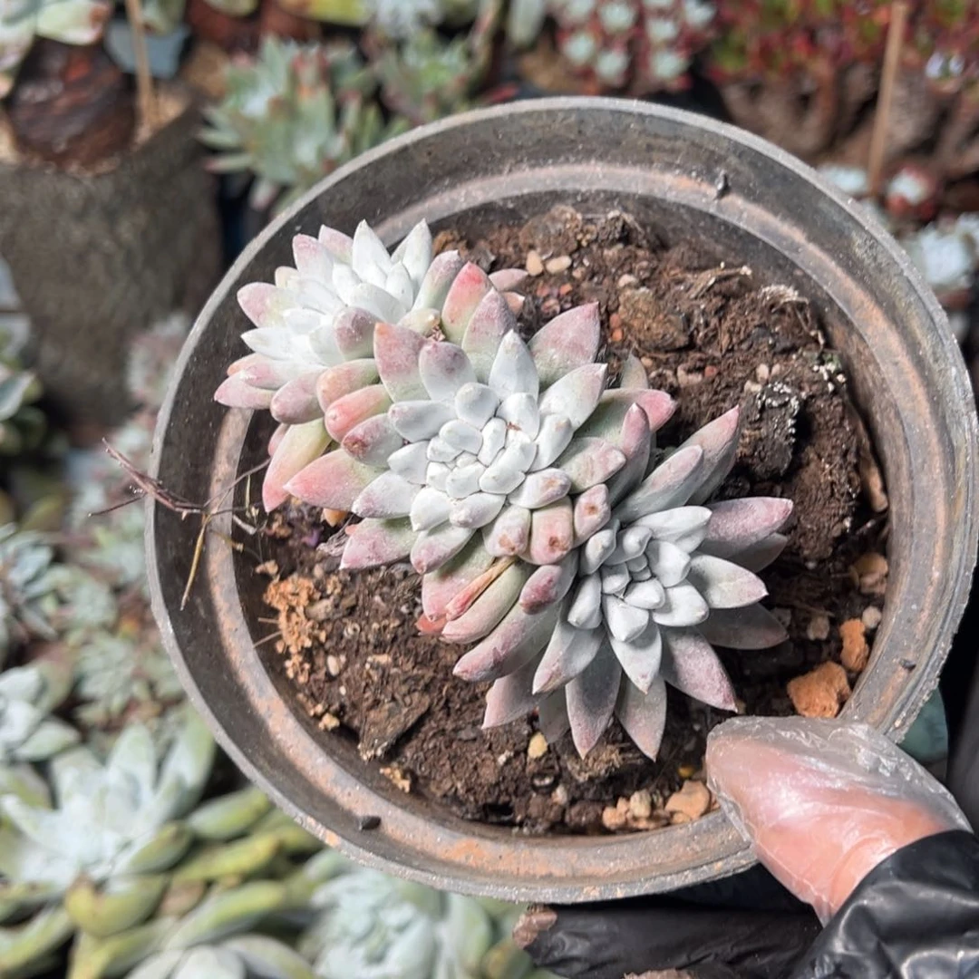 012个哈哈哈哈哈哈哈哈