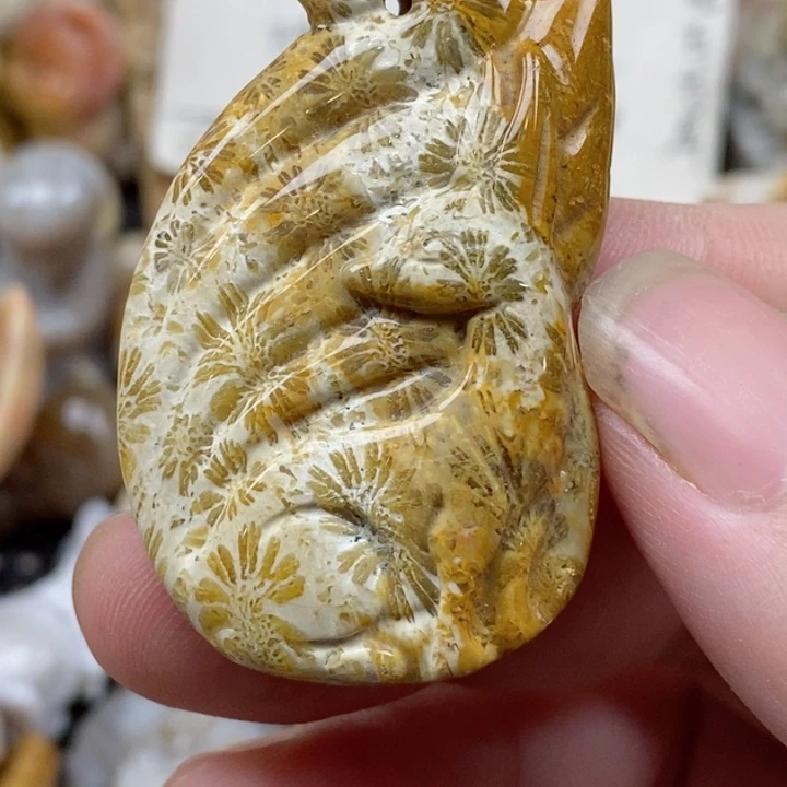 颈饰未镶嵌硅化珊瑚（珊瑚玉）