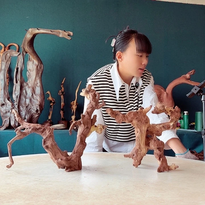 香榧木张*220金丝红木羊蹄甲