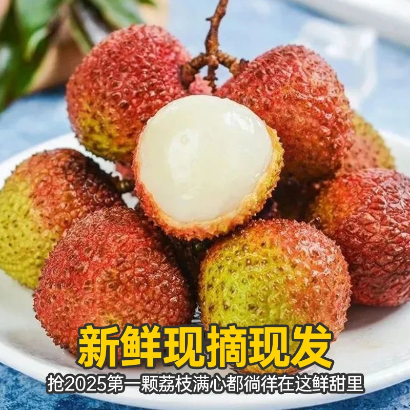 【头茬高州妃子笑荔枝】新鲜当季水果现摘清甜果核小当季果园荔枝