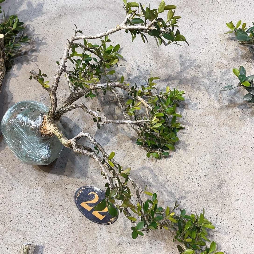 红陶江*一起为梦想而加油啊