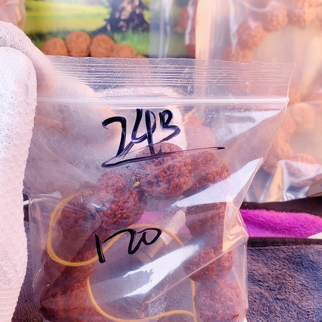 白***苟金刚菩提手串24————-